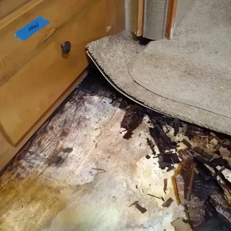 Best Wood Floor Water Damage Service in Milliken, CO